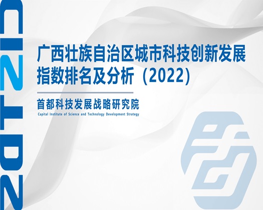 插拔操插抽视频免费观看大全【成果发布】广西壮族自治区城市科技创新发展指数排名及分析（2022）